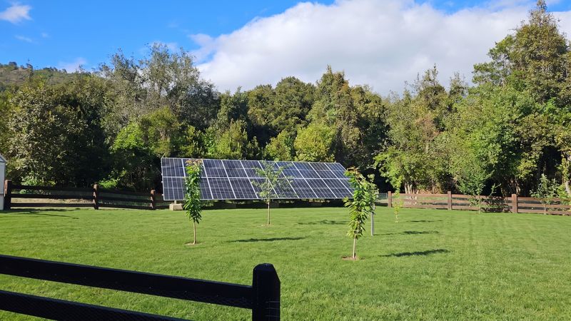 Planta fotovoltaica sobre suelo en el predio El Remanso